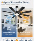 Huge 62 Inch Ceiling Fan With Lights Remote Control Black Modern Farmhouse Indoor Outdoor 8 Dual Finish Blades