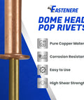Professional Grade Copper Pop Rivets 100 Pack One Eighth By Three Eighth Dome Head Blind Rivets featuring solid brass mandrel close-up of rivet.