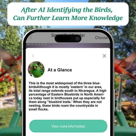 Smart Bird Feeder With Camera 2K Live View Solar Powered Outdoor WiFi Night Vision AI Identify Arrive Alerts Auto Record Videos Real Time App Notifications All In One Backyard Bird Watching Gift For Family And Bird Lovers image showing phone screen with bird identification information.