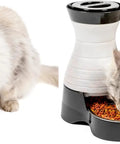 Hassle Free Double Pack Small Gravity Pet Food Station With Stainless Steel Bowl For Cats And Dogs Space Saving Self Dispenser, cat eating kibble.