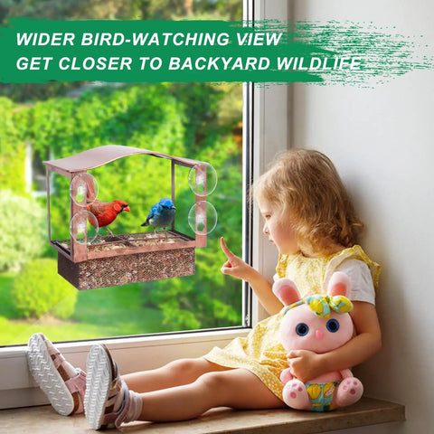 Child observing Metal Window Bird Feeder With Wide Viewing Window And Ultra Strong Suction Cups For Easy Mount On Glass
