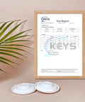 Test report in wooden frame with two backflow protectors for Spectra S1 S2 9 Plus Breast Pumps on table