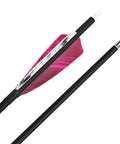 Close-up of a carbon arrow showing 4 inch turkey feather fletching and 100 grain removable field tips, used for target practice and hunting.