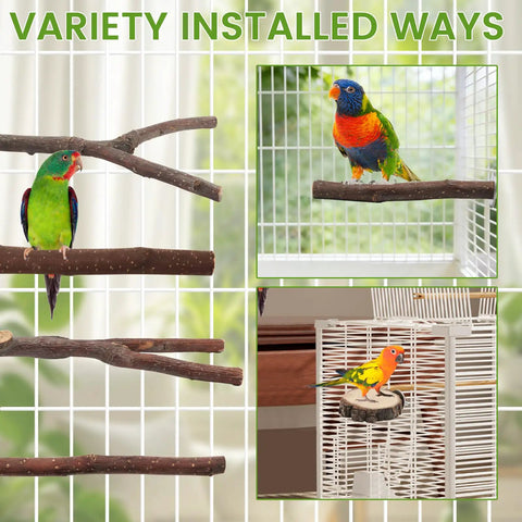 Top Notch Nine Piece Apple Wood Bird Perch Bundle With Heavy Duty Rope Ladder And Raw Bark Platform For Parrot Cage Must Haves natural setup with parrots on various perches.