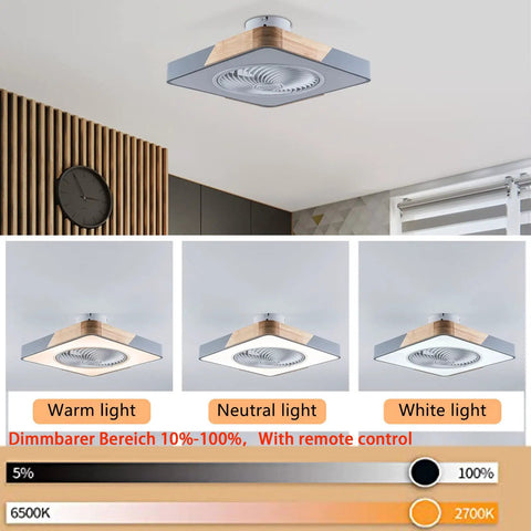 Enclosed Ceiling Fan With Light And Remote, 22 Inch Sleek Low Profile Wood And Metal Housing, Invisible Acrylic Blades