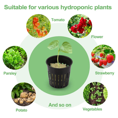 Hydroponics Starter Kit With 72 Rockwool Cubes And 72 Mesh Net Cups For No Soil Needed Seed Starting And Cuttings plant examples.