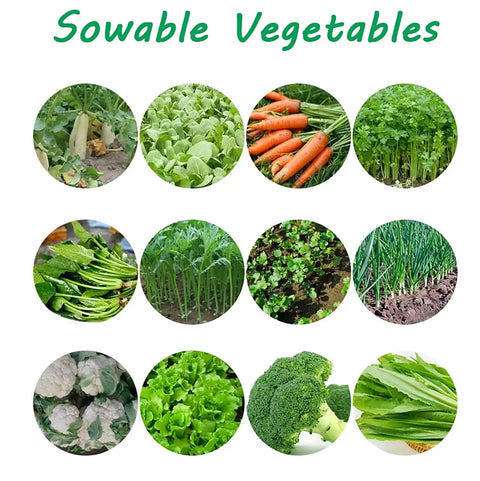 Various vegetables for sowing using Handheld Manual Seed Sower For Vegetables With Precise Sowing, Adjustable Depth