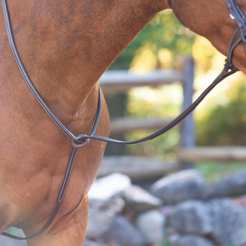 Adjustable Leather Standing Martingale With Stainless Steel Hardware For Pony, Chocolate Brown, No Stopper Included close-up on pony