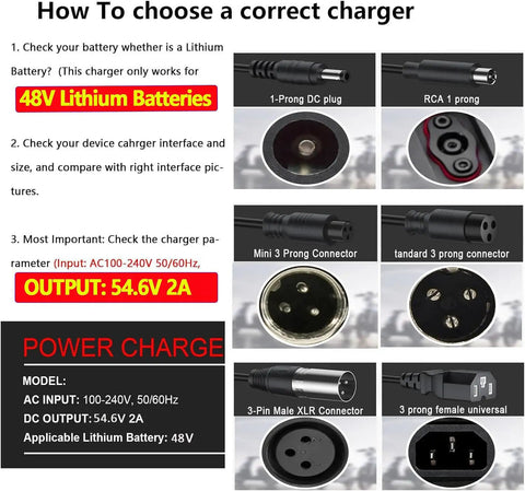 Guide on selecting a charger for 48V lithium batteries, focusing on 54.6V 2A output, with various plug types displayed