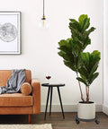 Heavy Duty Cast Iron Plant Stand On Wheels For Indoor And Outdoor Use, 11 Inch Diameter And 3 Inch High Rolling Plant Pallet Caddy