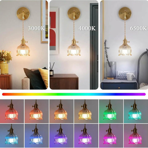 GZZBMY Indoor RGB Wall Light with Remote Control Dimmable Wall Lamp USB Rechargeable Creative Glass Lampshade Wall Sconce Creative Flowers Design for Bedroom Living Room (Amber,2 Packs) with various color temperatures.