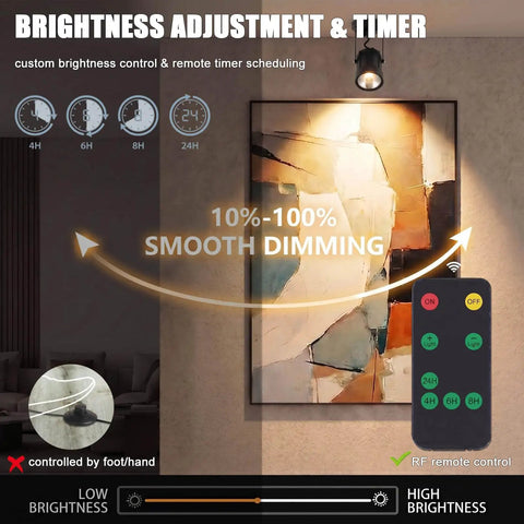 LED Spotlight For Plants And Indoor Outdoor Accent Lighting, showcasing dimming remote and lighting art display with 12V adapter.