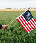 Hand holding Pack Of 12 12X18 Inch Outdoor American Flags On Sticks With Vivid Color Kid Safe Spear Top in grassy field