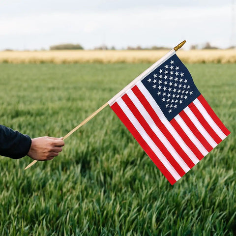 Hand holding Pack Of 12 12X18 Inch Outdoor American Flags On Sticks With Vivid Color Kid Safe Spear Top in grassy field