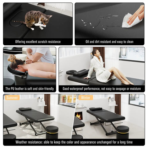 Dolonm Heavy Duty Electric Massage Table With Adjustable Lift And Backrest, features soft PU leather and waterproof surface.