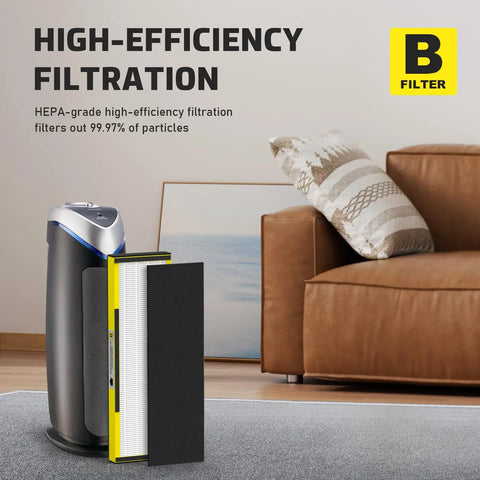 Two Pack True HEPA Replacement Filter B For Air Purifiers Includes 2 True HEPA Filters And 6 Activated Carbon PreFilters on floor