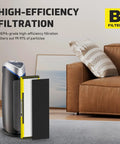 4 Pack FLT4825 HEPA Filter B Replacement, air purifier and filter setup in living room setting