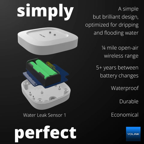 Smart Home Starter Kit With Hub And Two Water Leak Sensors LoRa Range Up To Quarter Mile Open Air Real Time Alerts overview