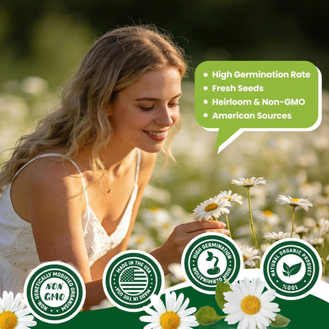 German Chamomile Seeds Pack With About 2300 Perennial Seeds For Your Home Garden Easy To Grow High Germination No Fuss Indoor Or Outdoor Planting Perfect For Your Dope Herb Garden
