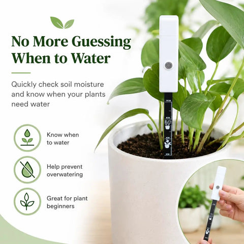 Easy Soil Moisture Meter For Indoor And Outdoor Plants, 3 Color Light Indicator, One Button Soil Tester Probe For Houseplants, Succulents, Garden, Potted Plants, Quick Read For A Healthy Green Thumb in white potted plant