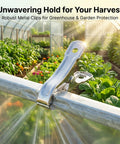Heavy Duty Stainless Steel Garden Clips 50 Pack For Greenhouses With 2 Inch Long Grips securing greenhouse plastic