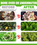 Comparison of plants before and after using Battery Free Soil Moisture Meter For Indoor And Outdoor Plants, Hygrometer Moisture Sensor Soil Test Kit, Plant Water Meter For Lawn And Farm, No Battery Needed, Great Gardening Gift.