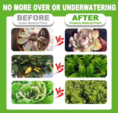Comparison of plants before and after using Battery Free Soil Moisture Meter For Indoor And Outdoor Plants, Hygrometer Moisture Sensor Soil Test Kit, Plant Water Meter For Lawn And Farm, No Battery Needed, Great Gardening Gift.