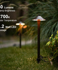 Low Voltage Outdoor Pathway Lighting Kit 8 Pack Warm White 2700K 40 Lumen LED Path Lights Wired 12V AC Metal Brown Finish garden