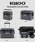 Top Shelf 25 Quart Insulated Cooler With Thick Foam Walls And Cool Riser Tech showcasing multiple sizes of igloo coolers.