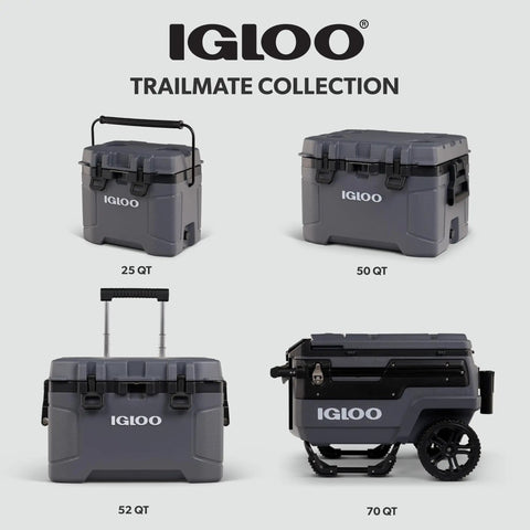 Top Shelf 25 Quart Insulated Cooler With Thick Foam Walls And Cool Riser Tech showcasing multiple sizes of igloo coolers.