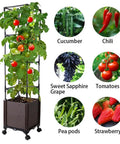 56 Inch Raised Garden Bed With Tomato Cage And Trellis, Self Watering Planter Box For Vegetables And Flowers, Lockable Wheels