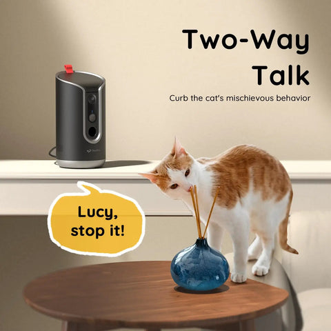 2K Pet Cam With Treat Dispenser And AI Photo Album on shelf, two-way talk feature, watching cat near vase, indoor use