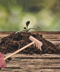 Hand holding a rake from Dope 60 Piece Mini Zen Garden Rake Set For Desk Top Meditation And Sand Art, next to soil and seedling