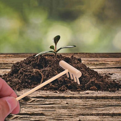 Hand holding a rake from Dope 60 Piece Mini Zen Garden Rake Set For Desk Top Meditation And Sand Art, next to soil and seedling