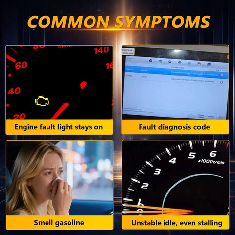 Evaporative Emissions System Integrity Module Leak Detection signs: dashboard engine light, fault code, gasoline smell, unstable idle.