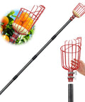 Long Reach 13 Foot Fruit Picker With Basket And Adjustable Stainless Steel Pole Showing Basket and Hand Detail