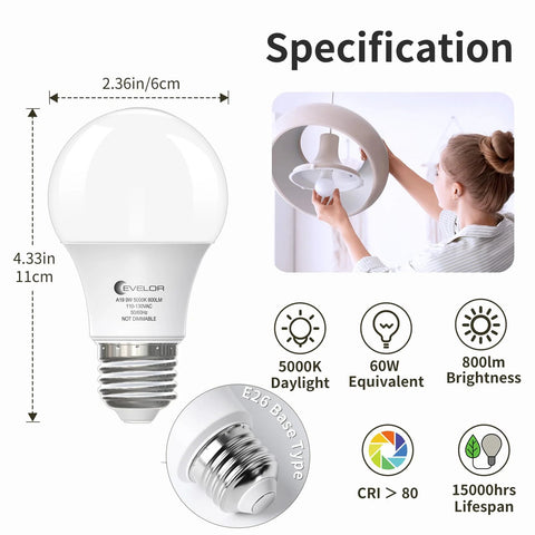 Six Pack A19 LED Light Bulbs With E26 Base 60 Watt Equivalent Daylight 5000K 9 Watts 800 Lumens Non Dimmable Long Life Up To 15000 Hours Ideal For Bedroom And Living Room Energy Saving Household Lighting