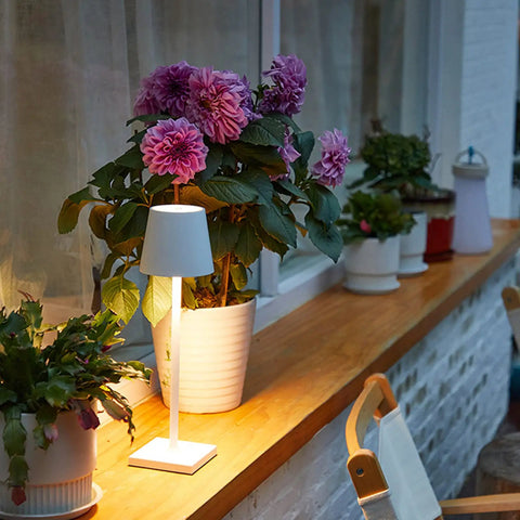 15.4 Inch LED Cordless Table Lamp With 3 Color Dimmable Light illuminating a potted plant on a terrace