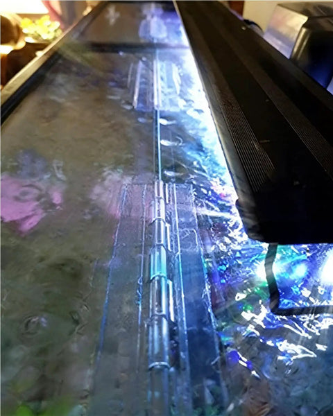 Hella Tough Clear Acrylic Continuous Piano Hinge Set 12 Inch shown from above, installed on a DIY transparent storage box.