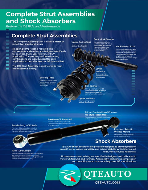 Diagram of complete strut assemblies and shock absorbers with highlights of features including premium oil and twin-tube design.