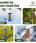 Outdoor Hanging Mealworm Tube Bird Feeder With Wide Perch Squirrel Chew Proof Easy Refill And Clean Metal Construction Great For Bluebirds Robins Wrens Chickadees All Season Backyard Birding in different seasonal settings.