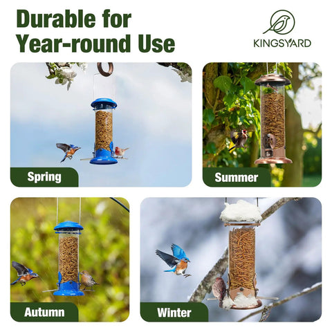 Outdoor Hanging Mealworm Tube Bird Feeder With Wide Perch Squirrel Chew Proof Easy Refill And Clean Metal Construction Great For Bluebirds Robins Wrens Chickadees All Season Backyard Birding in different seasonal settings.