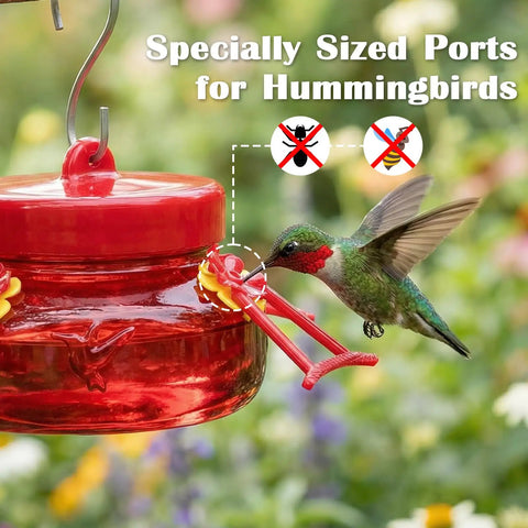 6 Oz Glass Hummingbird Feeders For Outdoors Hanging 2 Pack Mason Jar Style With 4 Realistic Silicone Flower Ports Perches Easy To Clean Refill Red For Gardens And Patios