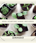 Certified Organic Herb Seed Pack, Ten Pack, Non GMO Heirloom Varieties With Seed Starting Video Guide For Homegrown Herbs