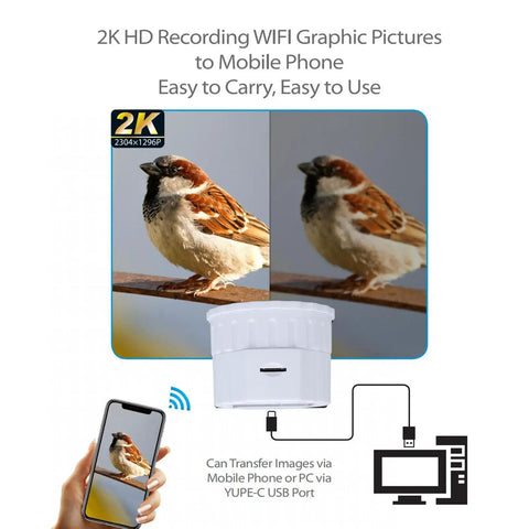 Comparison of bird photo quality captured with Telescope Camera Eyepiece With 1080P FHD Video And 2K Recording Plus 4MP Photos For 1.18 To 1.97 Inch Eyepieces