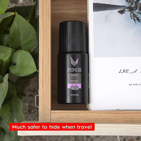 Lowkey Discreet Diversion Safe Stash Can With Hidden Compartment For Keys Cash And Valuables on a shelf next to a plant