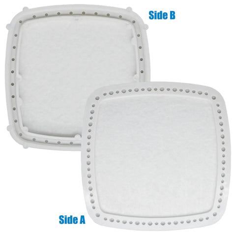 Echo PB2520 Leaf Blower Carburetor Replacement Kit air filters showing both sides A and B for quick tune-up and reliable performance