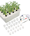 Hydroponic Growing Kit With Air Pump 12 Hole Soilless Grow Box with herbs and accessories for indoor use