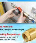 Boltigen 2-pack solid brass spring check valve, 1/2 in NPT female threads, inline water valve