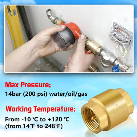 Boltigen 2-pack solid brass spring check valve, 1/2 in NPT female threads, inline water valve